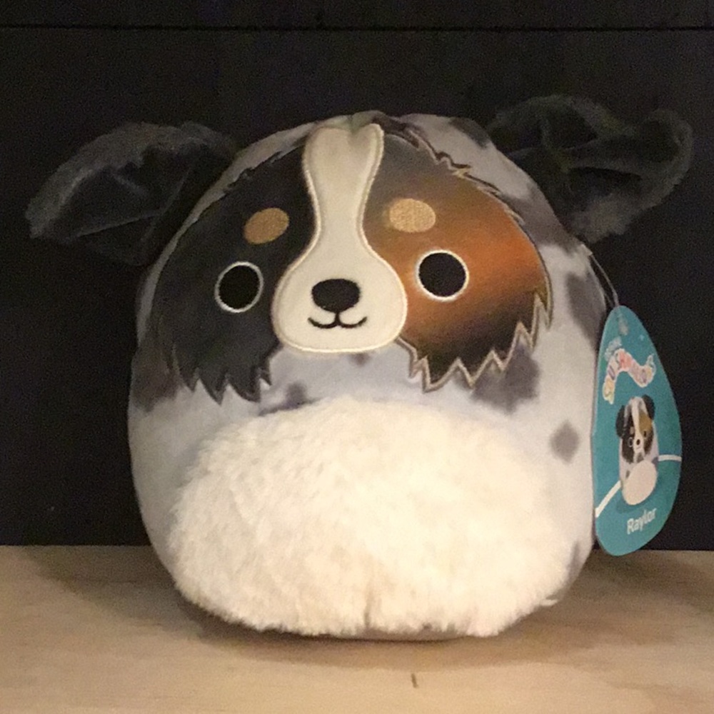 Raylor the dog
